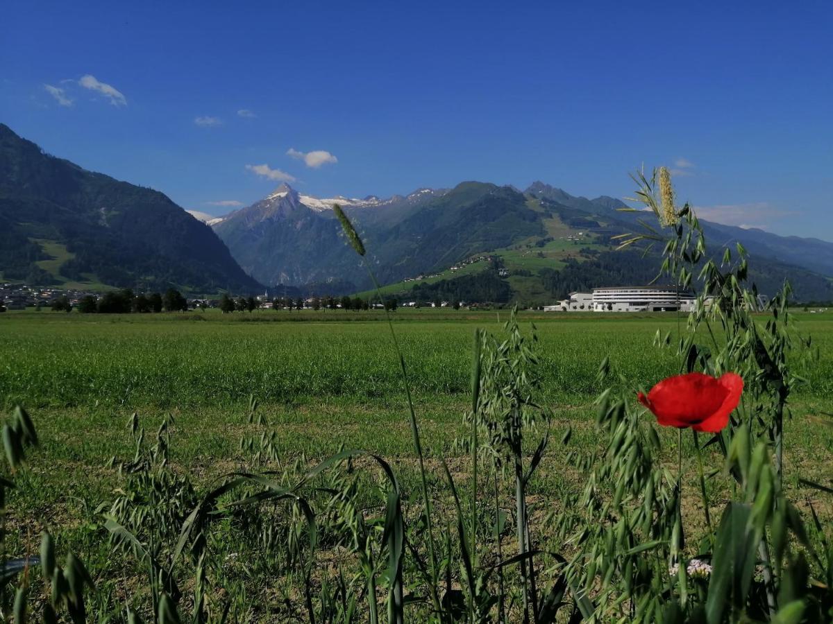 Alm Appartements Zellamsee Zell am See Ngoại thất bức ảnh